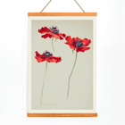 Three Studies of Poppies by Sophia Crownfield artwork featuring vibrant red poppies on delicate stems Poster titled Three Studies of Poppies by Sophia Crownfield featuring three vibrant red poppies on a light background