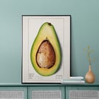 Avocado (Persea) Avocado (Persea)