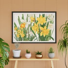 Daffodil Daffodil
