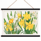 Daffodil Daffodil