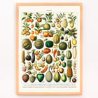 Wide variety of fruits Wide variety of fruits