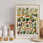 Wide variety of fruits Wide variety of fruits