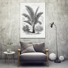 Vintage palm tree illustration by Oswald de Kerchove de Denterghem from Les Palmiers Histoire Iconographique. Vintage palm tree illustration poster by Oswald de Kerchove de Denterghem titled Les Palmiers Histoire Iconographique