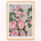 Prairie Rose by Hannah Borger Overbeck depicts vibrant pink flowers with green leaves. Poster of pink and white prairie roses with green leaves by Hannah Borger Overbeck titled Prairie Rose.
