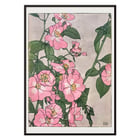 Prairie Rose by Hannah Borger Overbeck depicts vibrant pink flowers with green leaves. Poster of pink and white prairie roses with green leaves by Hannah Borger Overbeck titled Prairie Rose.