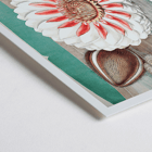 The Victoria Regia or the Great Water Lily of America by William Sharp depicting a vibrant water lily painting. Poster featuring The Victoria Regia or the Great Water Lily of America by William Sharp with a large detailed flower on water.