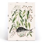 Illustration of Globe Fish by Mark Catesby from The Natural History of Carolina Florida and the Bahama Islands Poster with botanical illustration and a pufferfish by Mark Catesby from The natural history of Carolina Florida and the Bahama Islands