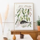 Illustration of Globe Fish by Mark Catesby from The Natural History of Carolina Florida and the Bahama Islands Poster with botanical illustration and a pufferfish by Mark Catesby from The natural history of Carolina Florida and the Bahama Islands
