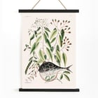 Illustration of Globe Fish by Mark Catesby from The Natural History of Carolina Florida and the Bahama Islands Poster with botanical illustration and a pufferfish by Mark Catesby from The natural history of Carolina Florida and the Bahama Islands