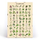 Illustrated poster of green vegetables and herbs by artist Green Vegetables and herbs poster A poster displaying various illustrated green vegetables and herbs titled Green Vegetables and Herbs.