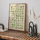 Illustrated poster of green vegetables and herbs by artist Green Vegetables and herbs poster A poster displaying various illustrated green vegetables and herbs titled Green Vegetables and Herbs.