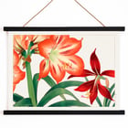 Amaryllis flower painting by Tanigami Kônan featuring vibrant red and green hues. Poster of vibrant Amaryllis flowers in red and green by artist Tanigami Kônan showcasing detailed botanical illustration.