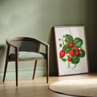Strawberry chromolithograph plates by Abraham Jacobus Wendel depicting lush strawberries and green leaves. Poster of vibrant strawberries with green leaves titled Strawberry chromolithograph plates by Abraham Jacobus Wendel