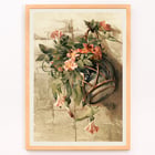 Fleurs roses dans un vase suspendu Fleurs roses dans un vase suspendu