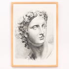 Antique statue head Antique statue head
