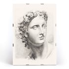 Antique statue head Antique statue head