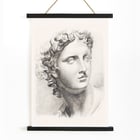 Antique statue head Antique statue head