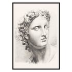 Antique statue head Antique statue head