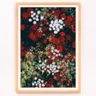 Red and white flowers Red and white flowers