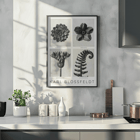 Black and white botanical photo poster by Karl Blossfeldt featuring flowers and plant details. Karl Blossfeldt Flowers Poster 1 features black and white photographic close-ups of various botanical elements in a framed layout.