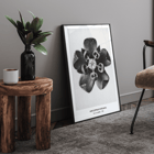 Karl Blossfeldt artwork Asclepias Syriaca featuring close-up of Common Milkweed flower in black and white. Poster of Asclepias Syriaca Common Milkweed by Karl Blossfeldt featuring a detailed black and white close-up of the flower.