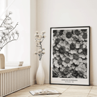 Achillea Clypeolata Yarrow by Karl Blossfeldt features black and white flower pattern artwork Poster of Achillea Clypeolata Yarrow by Karl Blossfeldt showcasing detailed black and white floral photography.
