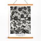 Achillea Clypeolata Yarrow by Karl Blossfeldt features black and white flower pattern artwork Poster of Achillea Clypeolata Yarrow by Karl Blossfeldt showcasing detailed black and white floral photography.