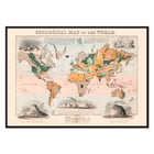 Mappa geologica del mondo di James Reynolds raffigurante regioni colorate e note Poster con la mappa geologica del mondo di James Reynolds con regioni colorate che rappresentano diverse formazioni geologiche