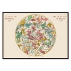 Celestial map illustration with zodiac constellations by Johann Elert Bode titled Coelum Stellatum Hemisphaerium Arietis Poster Coelum Stellatum Hemisphaerium Arietis by Johann Elert Bode depicting a colorful celestial map with constellations
