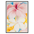 Hibiscus with Plumeria by Georgia O'Keeffe features large vibrant flowers in a colorful composition. Poster of Hibiscus with Plumeria by Georgia O’Keeffe featuring vibrant pink and white flowers with a colorful background