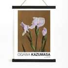 Iris Kæmpferi Iris Kæmpferi