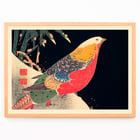 Colorful bird perched in snow artwork by Ito Jakuchu titled Golden Pheasant in the Snow Poster of artwork Golden Pheasant in the Snow by Ito Jakuchu featuring a colorful pheasant against a dark background with snow.