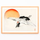 Flying crane in front of an orange sun by Kōno Bairei Poster of a crane flying with a red sun in the background titled Flying crane by Kōno Bairei.