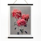 Kazumasa Ogawa Asa–dsuma–bune hand–colored collotype of vivid red flowers Poster featuring Asa-dsuma-bune by Kazumasa Ogawa showcasing vibrant hand-colored flowers on a neutral background.