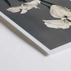Iris Kæmpferi art by Kazumasa Ogawa hand-colored collotype from Some Japanese Flowers featuring two white irises. Poster of white Iris flowers titled Iris Kæmpferi by Kazumasa Ogawa from Some Japanese Flowers showcasing delicate hand-colored details