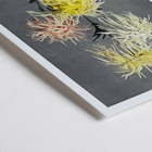 Hand-colored floral collotype Nami-chi-dori by Kazumasa Ogawa depicting chrysanthemums in soft shades. Poster of vibrant chrysanthemums from Nami–chi–dori by Kazumasa Ogawa showing hand–colored floral artwork.
