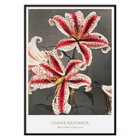 Lily flowers hand-colored collotype by Kazumasa Ogawa from Some Japanese Flowers Poster featuring a hand-colored collotype of lilies from Some Japanese Flowers by Kazumasa Ogawa.