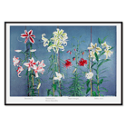Lily hand-colored collotype from Some Japanese Flowers by Kazumasa Ogawa featuring colorful lilies on a blue background Poster of vibrant lilies in various colors by Kazumasa Ogawa from Some Japanese Flowers.