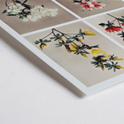 Group of Azaleas by Kazumasa Ogawa features hand-colored collotype of vibrant azalea flowers. Poster featuring various azalea flowers from Group of Azaleas by Kazumasa Ogawa in a hand-colored collotype style artwork.