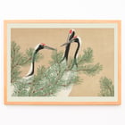 Drei Kraniche zwischen Kiefernzweigen im Kunstwerk „Cranes Tsuru“ von Ohara Koson. Poster mit Kranichen zwischen Kiefernzweigen von Ohara Koson, Kunstwerk mit dem Titel Cranes Tsuru