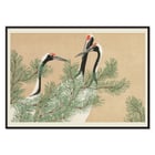 Drei Kraniche zwischen Kiefernzweigen im Kunstwerk „Cranes Tsuru“ von Ohara Koson. Poster mit Kranichen zwischen Kiefernzweigen von Ohara Koson, Kunstwerk mit dem Titel Cranes Tsuru