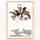 Illustration of colorful birds on a tree by US Information Agency Conservation is All Year Poster featuring colorful birds on a tree with conservation message titled Conservation is All Year by US Information Agency.