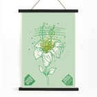 Illustration of a musical flower by Lanny Sommese titled Penn State glee club spring concert. Poster with musical notes on a flower stem by Lanny Sommese promoting Penn State glee club spring concert.