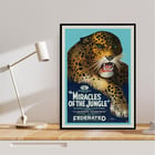 Poster mit einem wilden Leoparden aus „Miracles of the Jungle“ von EA Martin Selig Studios. Poster mit dem Titel „Miracles of the Jungle“ zeigt einen brüllenden Leoparden mit auffälligen grünen Augen und fettem Text vor blauem Hintergrund.