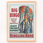 Grande Bingo Grande Bingo