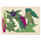 Leaves and fruits Leaves and fruits