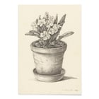Potplant Potplant