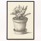 Potplant Potplant