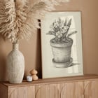 Potplant Potplant