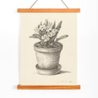 Potplant Potplant